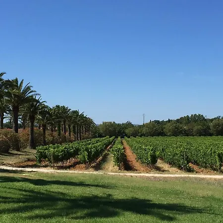 Le Chateau Des Anglades بيت للعطل