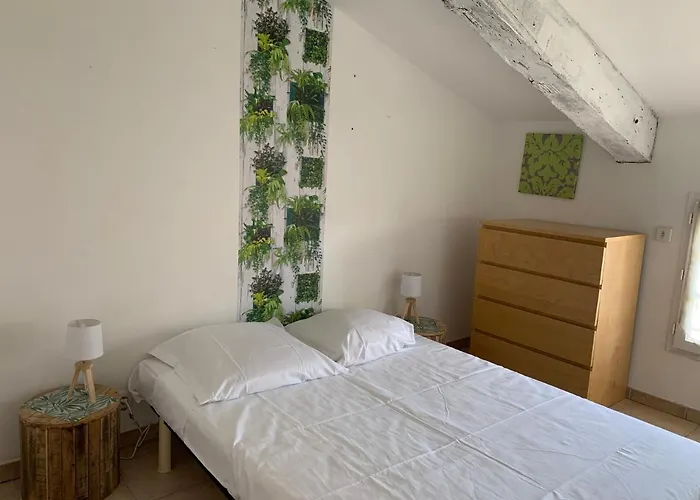 Le Chateau Des Anglades בית נופש הייר