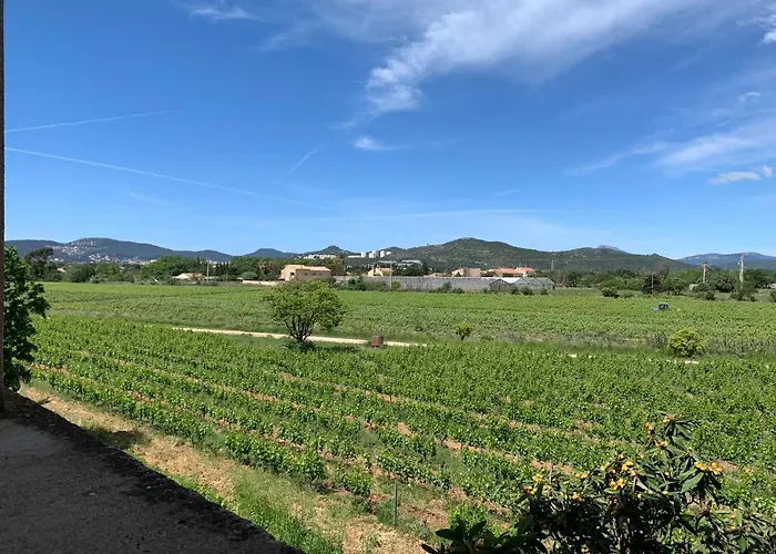 Le Chateau Des Anglades בית נופש הייר