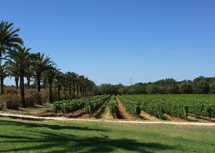 Le Chateau Des Anglades בית נופש